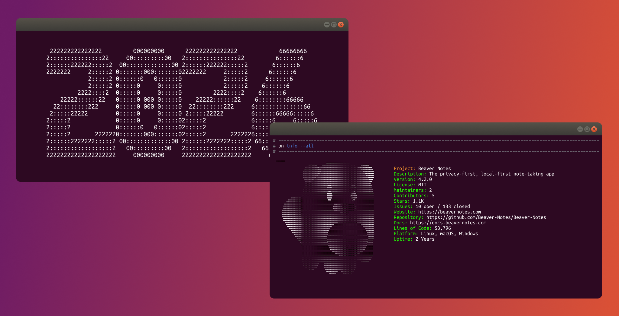 Leaping into the new year